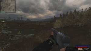 STALKER . ПУТЬ ЧЕЛОВЕКА: ВОЗВРАЩЕНИЕ - 4: Отыскать "Фару" , Бражка , "Череп"
