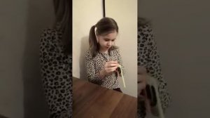 Фокус с линейкой и ручками (физика)