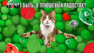 [ИТВ] Переход в 16:9 и смена логотипа (Kitekat TV, 05.01.2022)