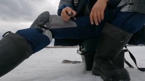 Рыбалка на жерлицы. Щука на жерлицы.