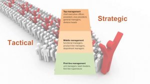 Planning function of the Managment process