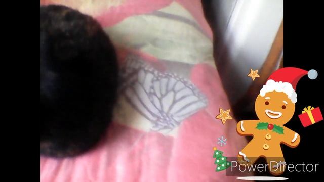 Советую каналы:chiksi :),springl,game play tv картинка буква g и синий фон. смотреть онлайн