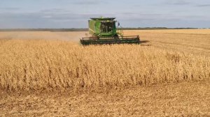 Уборка сои - 2021 - 1