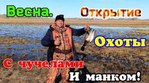 Открытие охоты | Весна | Охота с чучелами | Охота с манком