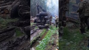 Урал лесовоз перевернулся