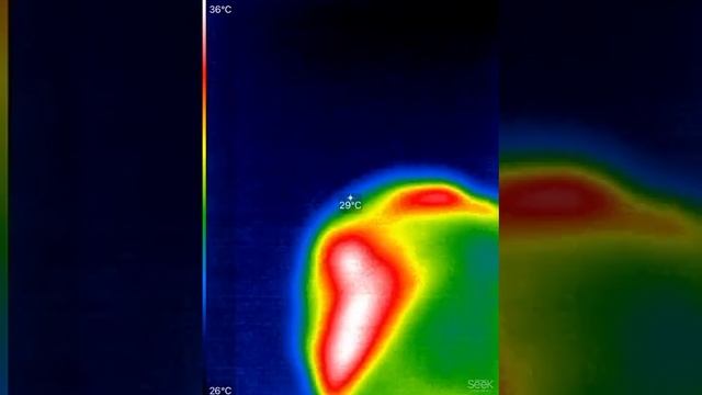 Видееобзор с тепловизора рукавиц с подогревом Пингвин А-5-085