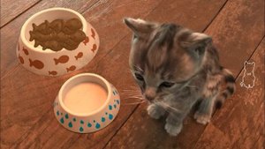 Приключения маленького котёнка.