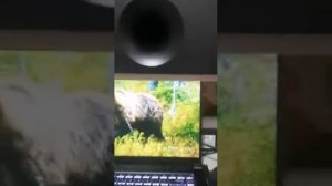 Саундбар Samsung HW-F350