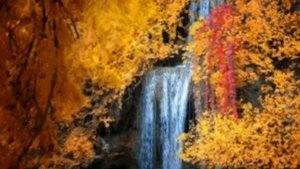 Осенний футаж. Водопад в осеннем лесу