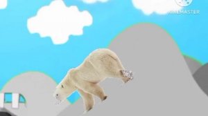 baby tv hd the polar bear