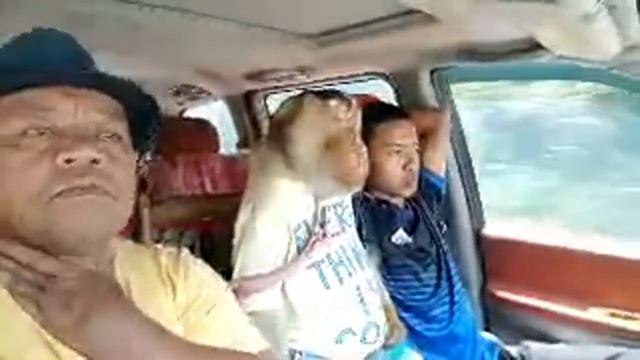 Jamilkucing TV Episod 165 смотреть онлайн