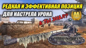 Редкая и эффективная позиция для настрела урона! (Tanks Blitz)