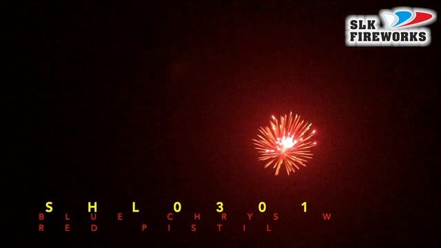 3" SHL0301 BLUE CHRYS W RED PISTIL смотреть онлайн