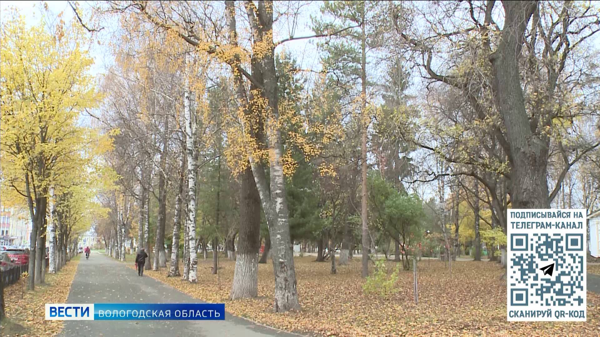 Вологжанам: сможет ли «сухой закон» помочь в борьбе с алкозависимостью