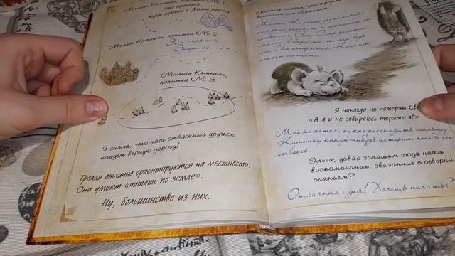 Обзор на книгу ,,Дневник приключений Холодное сердце "
