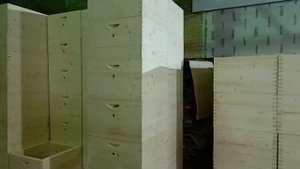 Липецкие улья в шип