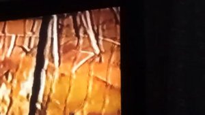 переключения каналов во время профилактики до 23:00 суббота