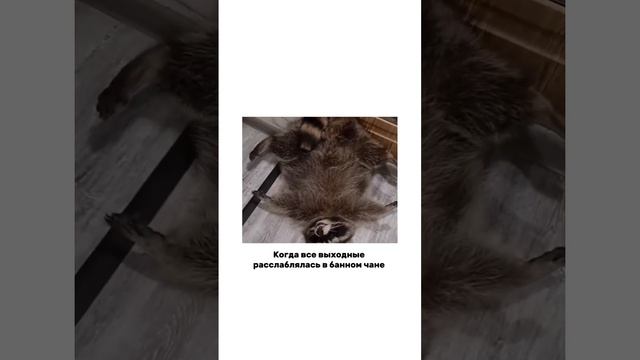 #релакс #банныйдень #банныйчан