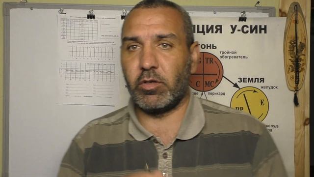 Диагностирование Прибором Доктором Константин -  2. Каналы  Рук.