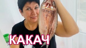 Тарханкутская рыба.Кефаль и КАКАЧ! Что это, где купить и как приготовить? Черноморское