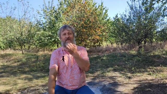 Легко ли Душа поднимается в мир Душ после смерти? #душа #выходизтела #регрессия #мирдуш
