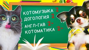 ШКОЛА КОТОВ И СОБАК ВОЛШЕБНЫЕ ПИТОМЦЫ ДВОЕЧНИКИ КИСА АЛИСА И ЮМИ ЧУ СРЫВАЮТ УРОКИ