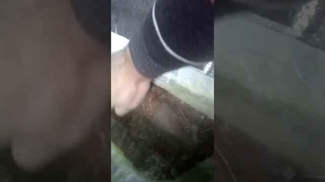 Матрица стелса Ауди А4 Б5 смотреть онлайн