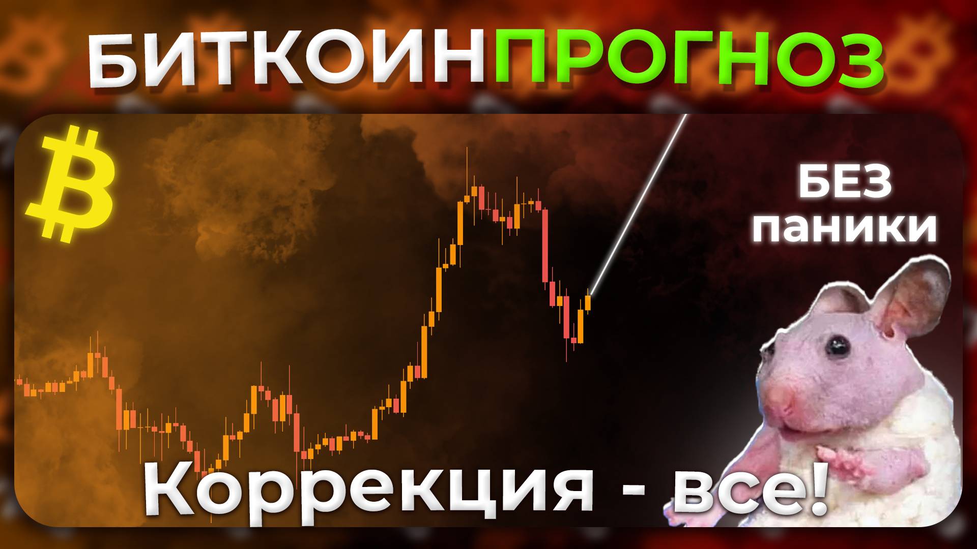 Обзор Крипторынка / Коррекция Закончена