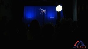 Шоу голографических вентиляторов Астрахань.