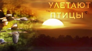 Улетают птицы - детская песня - клип - Наталия Лансере / children's song - birds fly away
