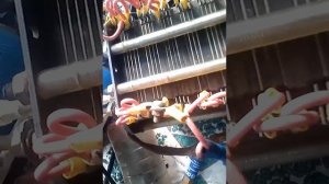 🆘Секрет Стенли Мейера🆘О чем молчал Стенли Мейер😏👍