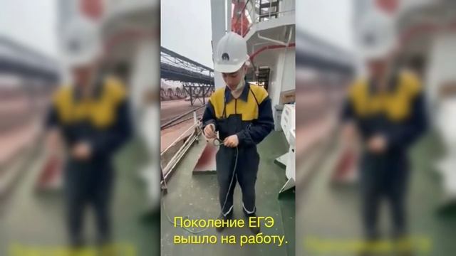смешные видео