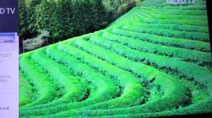 Samsung QE55Q7FAM 55'' UHD 4K Smart HDR QLED TV Wifi Freeview/ Freesat MINOR DAMAGE (S95)