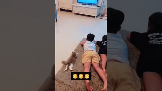 Братья меньшие