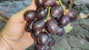 СУПЕР НОВИНКИ СЕЗОНА 2024!🍇🍇🍇 .mp4 WhatsApp Viber +79528500417. ТЕЛ. +79054033245.