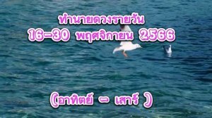 ทำนายดวงรายวัน  16 - 30 พฤศจิกายน 2566 (อาทิตย์ - เสาร์)