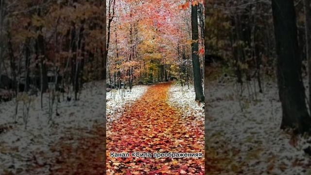 ЭНЕРГИИ И СОБЫТИЙНОСТЬ НОЯБРЯ