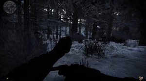 S T A L K E R   Gunslinger& Contract For A Good Life