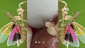 Relax squeezing out blackheads #55 Черные точки