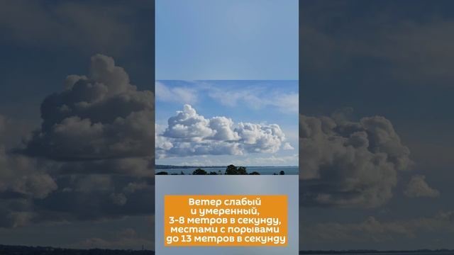 Прогноз погоды в Абхазии на выходные дни 2 и 3 ноября 2024 года