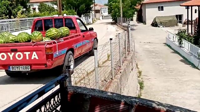 MM TV Καρπουζας 1 смотреть онлайн