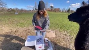 Распаковка генератора электропастуха Olli 122B