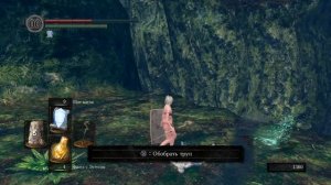 Как победить Черного дракона Каламита без помощи Гоха за мага / DARK SOULS REMASTERED