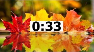 TEENS’ FAVOURITE SCHOOL SUBJECTS (ФИПИ)