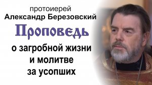 Проповедь о загробной жизни и молитве за усопших (2024.11.01). Протоиерей Александр Березовский