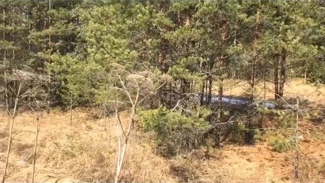 Субару Форестер. Расход топлива по трассе и не только... смотреть онлайн