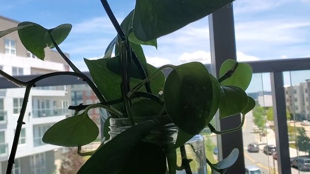 Art Therapy Activity For Anger - express and explore anger through art смотреть онлайн