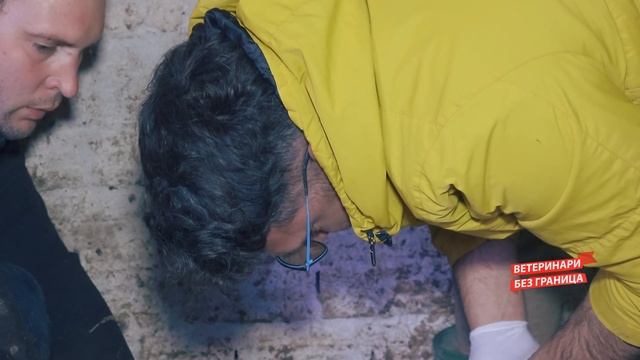 Veterinari bez granica ep. 249 07.02.2024. смотреть онлайн