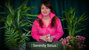 СОБЫТИЯ НА ПОРОГЕ❤ВСТРЕЧА С ЧЕЛОВЕКОМ ИЗ ПРОШЛОГО🌈совет Высших Сил💫таро расклад гадание онлайн