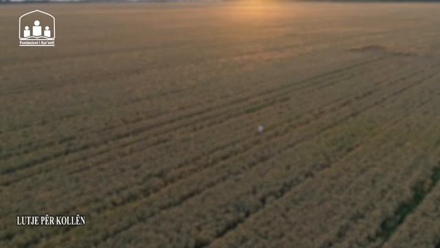 Rukje për heqjen e lytheve смотреть онлайн